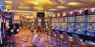377 bet app