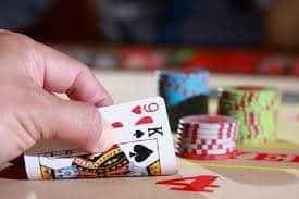377 bet app
