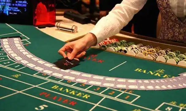 377 bet app